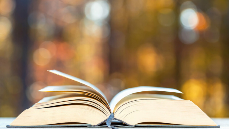 Book in front of forest